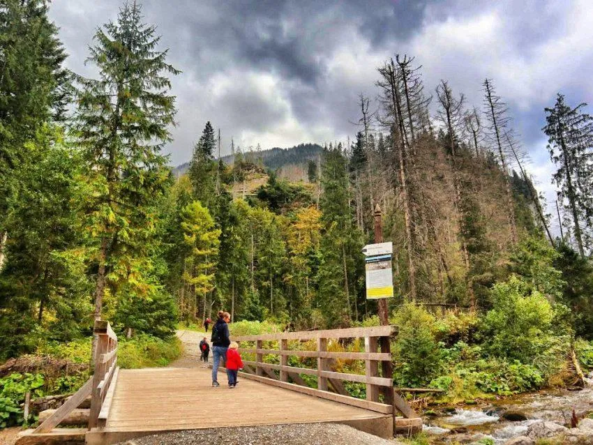 Dolina Kościeliska jesienią
