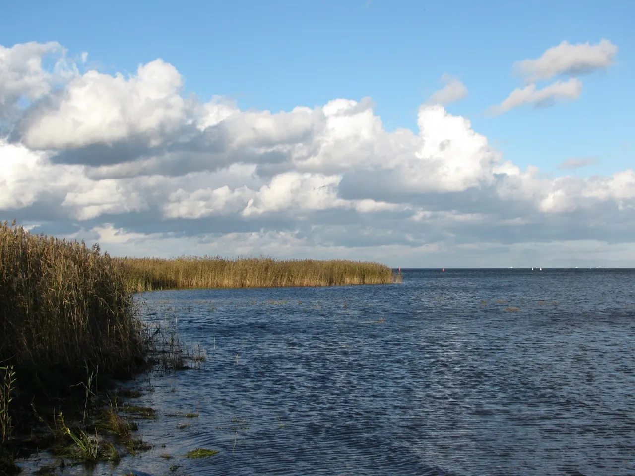 Jezioro Ładoga widok z g&oacute;ry