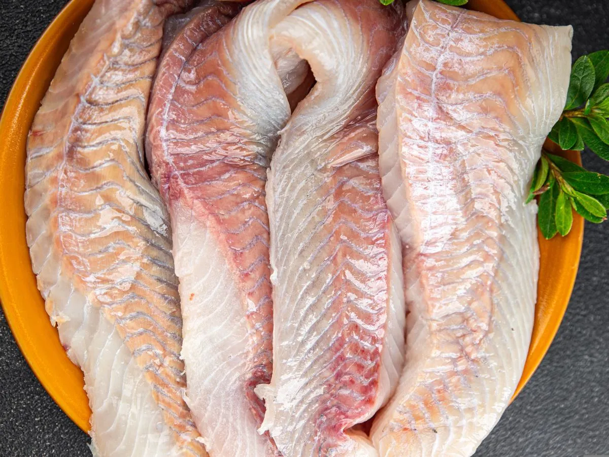 delikatne mięso dorsza charakterystyka