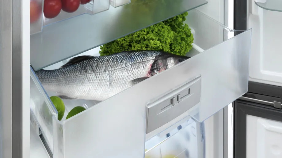 Lodówka z systemem No Frost i komorą zero