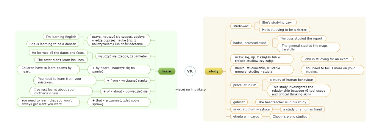 r&oacute;żnice między learn study teach