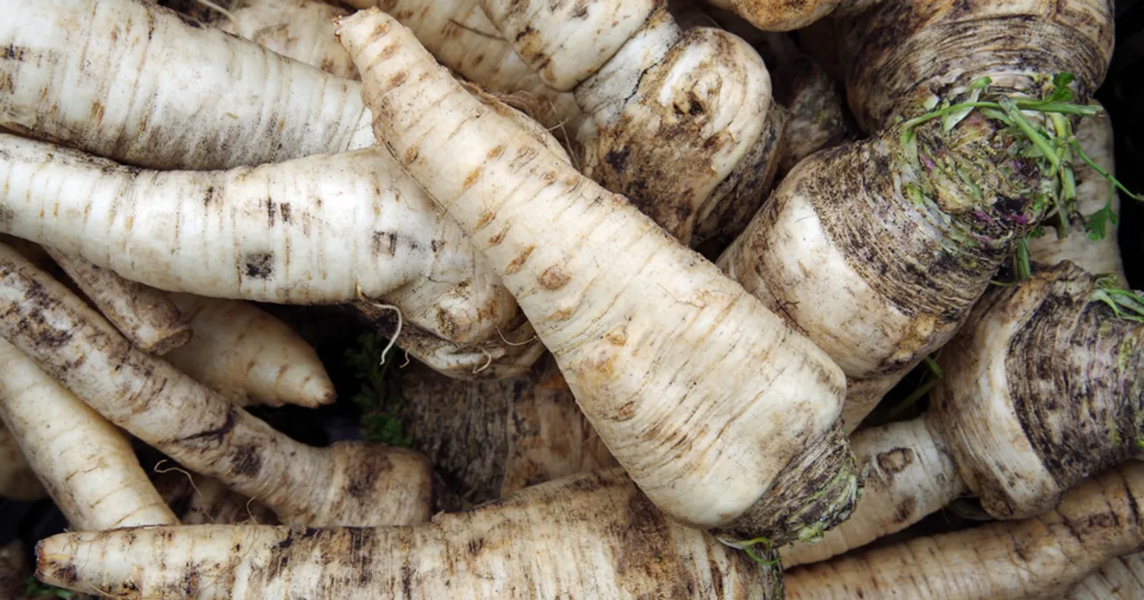 Stos świeżych, ziemistych korzeni pietruszki, gotowych do dodania smaku do zup i potraw.