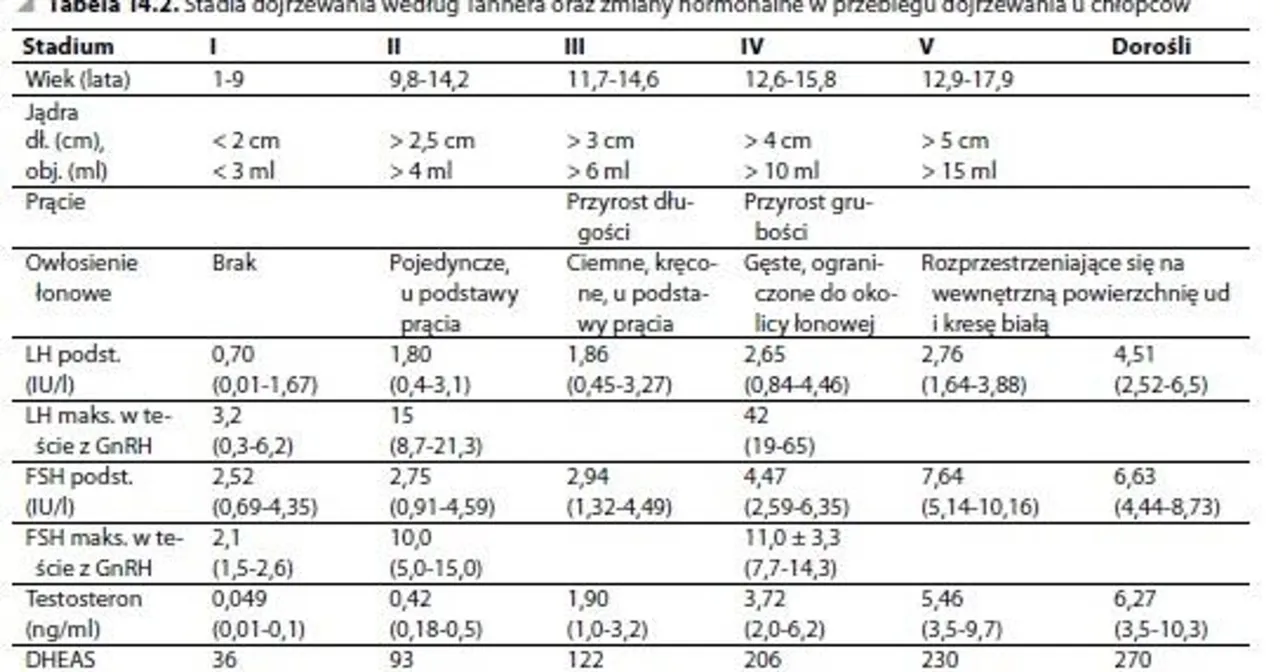 Lekarz bada dziecko skala Tannera