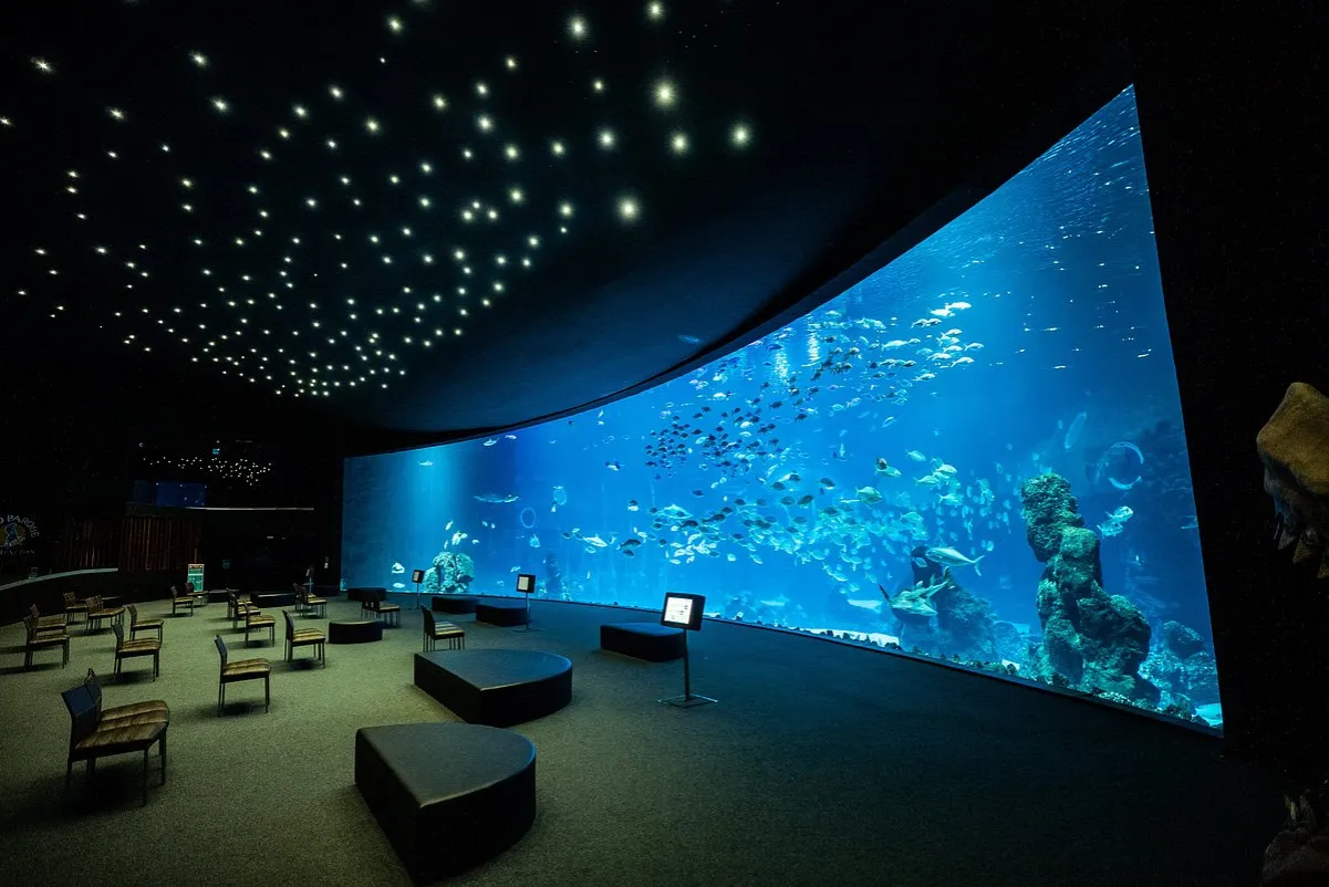 Poema del Mar Głębia Oceanu panoramiczne okno