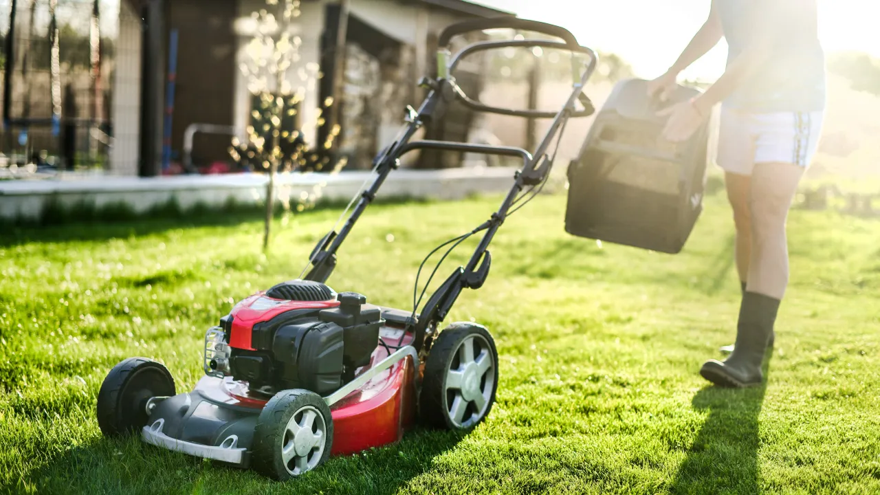 kosiarka spalinowa z dużą mocą kosząca wysoką trawę