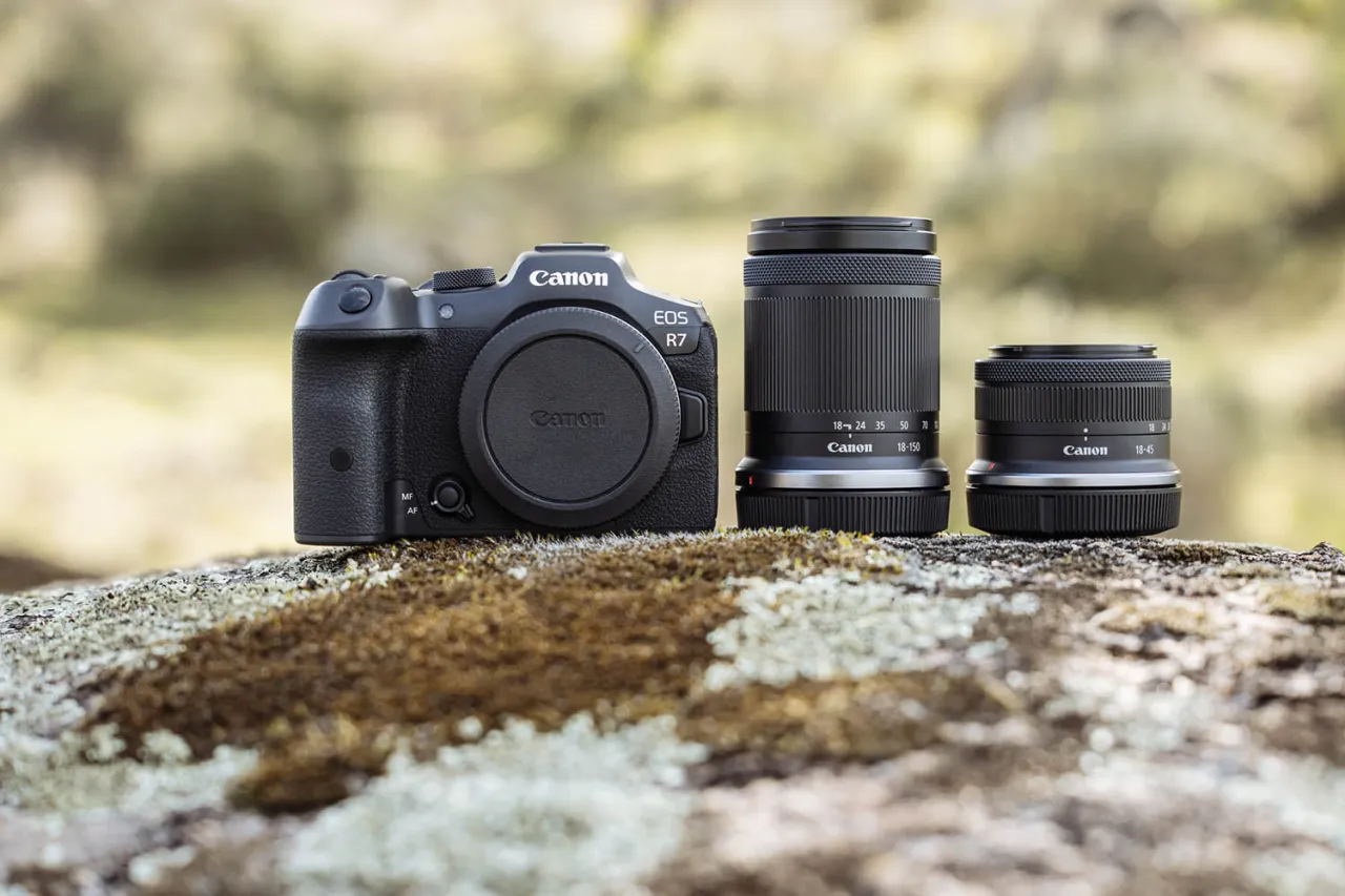 Różne modele aparatów bezlusterkowych do fotografii dzikiej przyrody