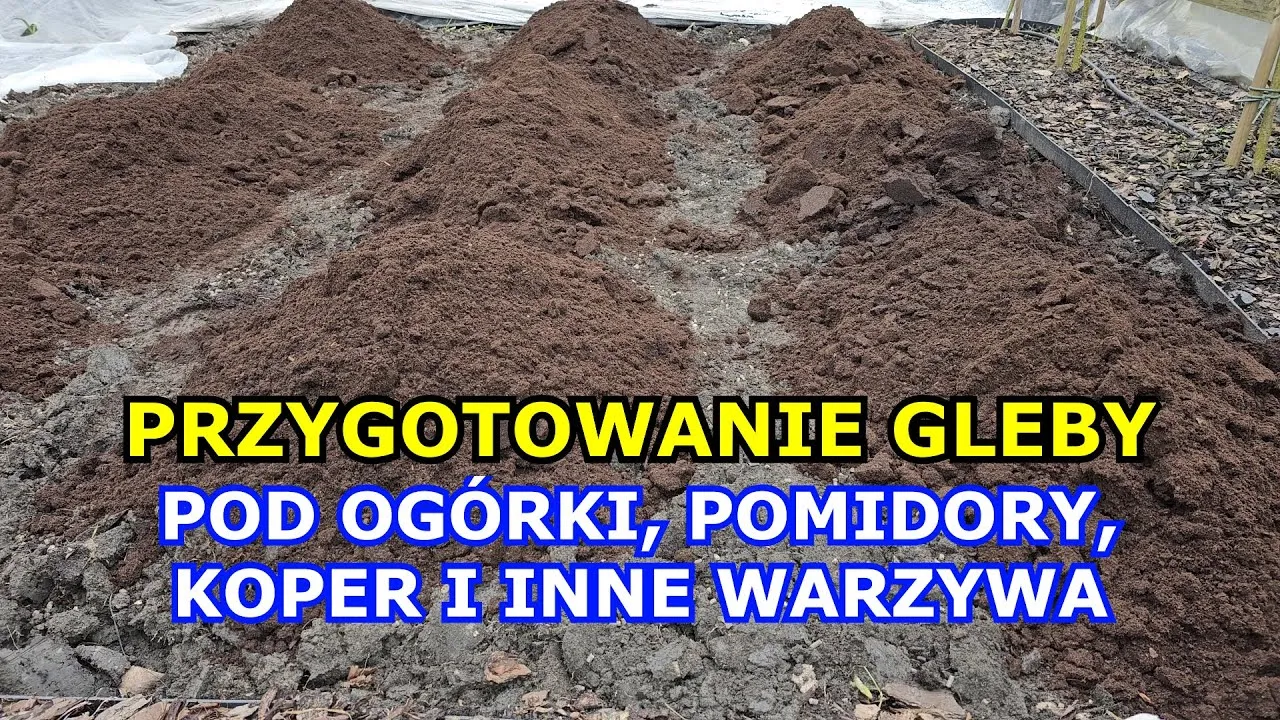 przygotowanie gleby pod pomidory kompost