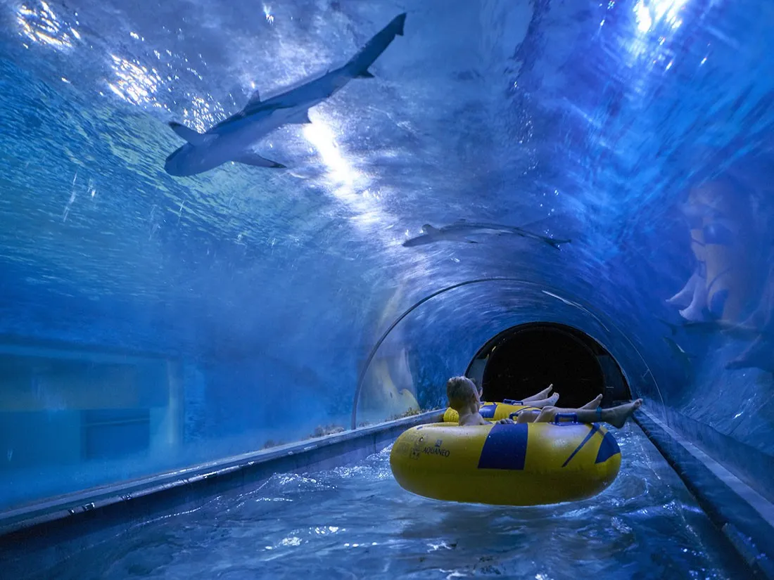 Aquapark Reda zjeżdżalnia rekiny