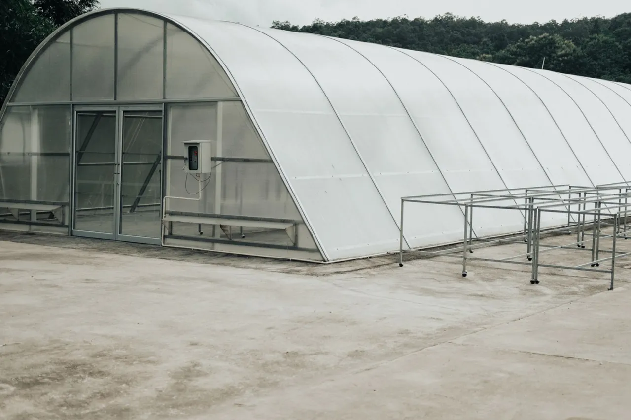 koszt budowy tunelu foliowego 100m2