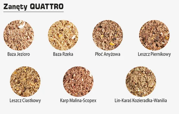 Składniki zanęty rzecznej infografika