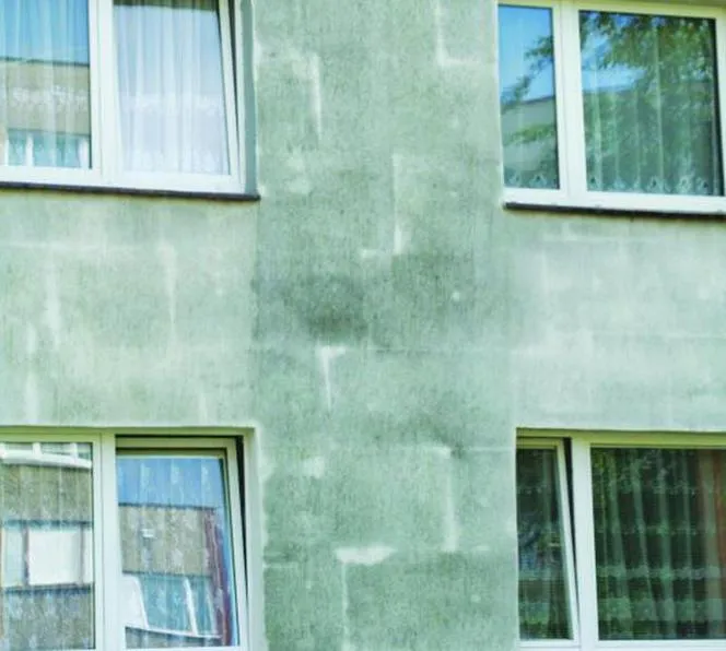 Zdjęcie Skuteczna naprawa elewacji budynku: kompletna instrukcja krok po kroku