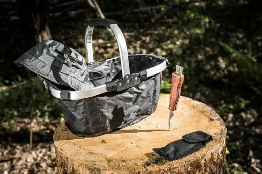 Koszyk i nożyk na grzyby