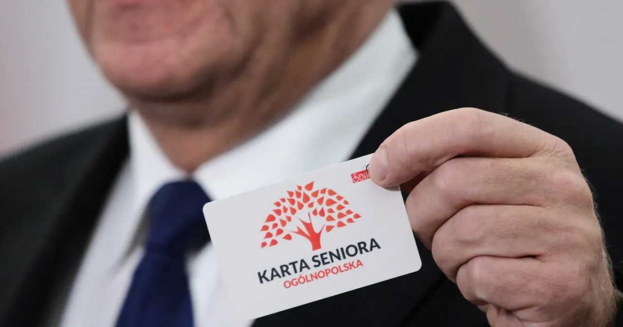 Dłoń trzyma kartę seniora z symbolem drzewa. Karta seniora Warszawa to szansa na zniżki.
