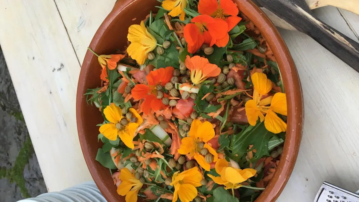 Jadalne kwiaty w sałatkach przykłady