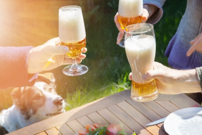 objawy zatrucia psa alkoholem, pies po piwie objawy