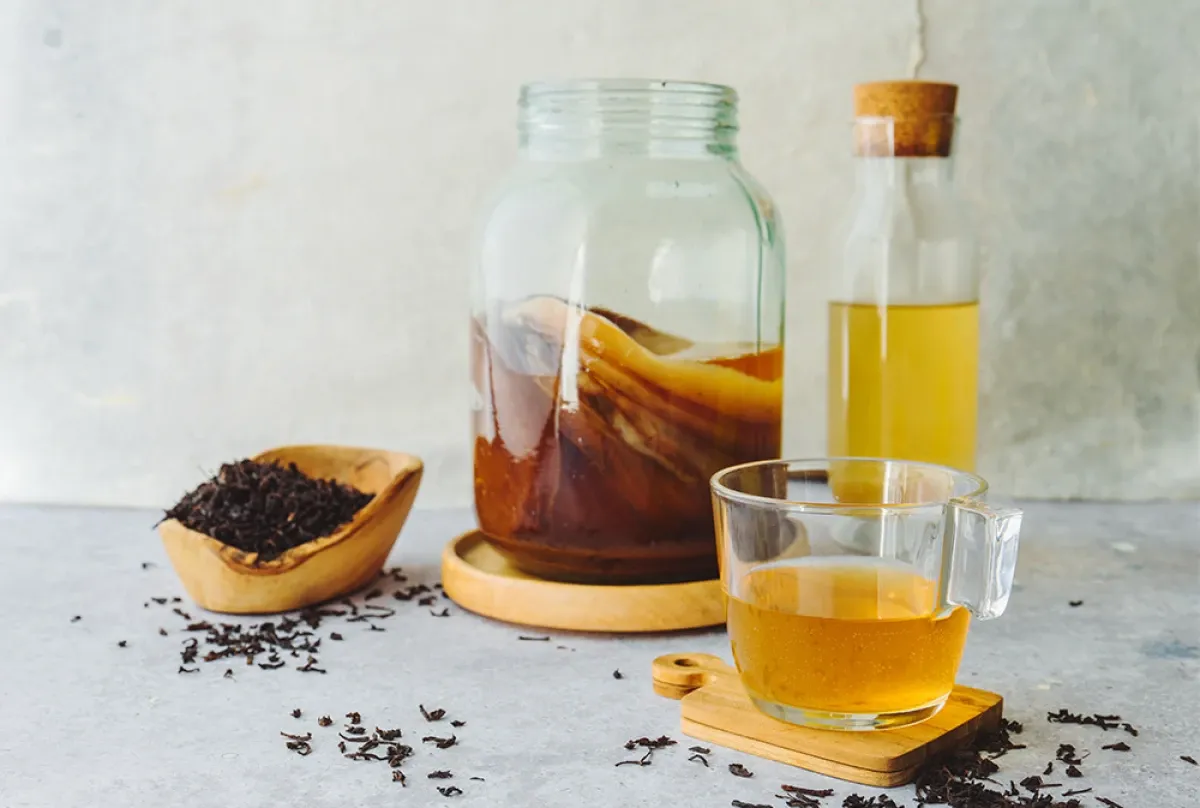 zdrowy grzybek kombucha w słoiku