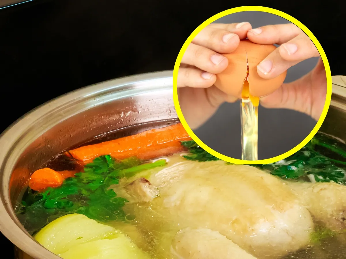 białko jajka w rosole