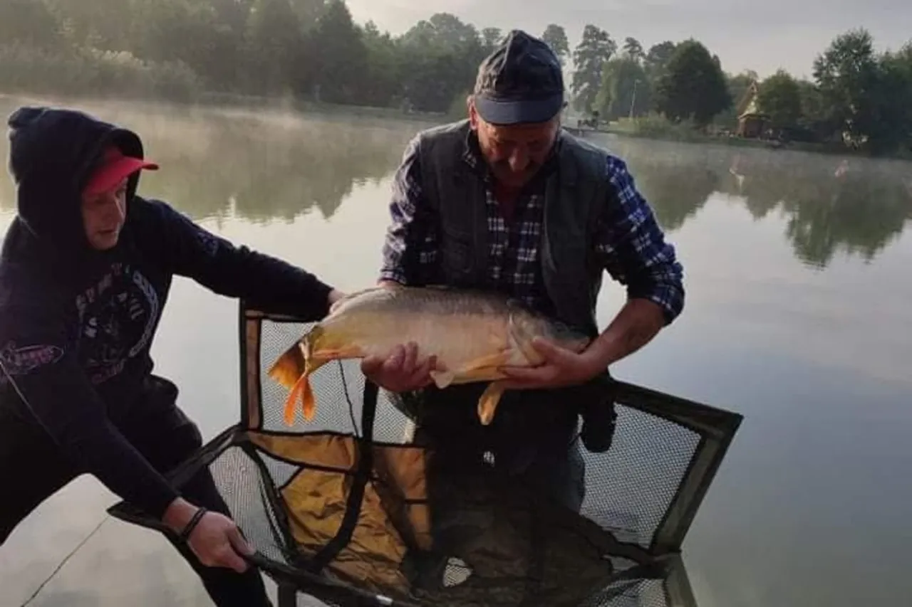 Wspaniały połów karpia na łowisku u Bartka. Smażalnia ryb na pewno będzie miała co robić!