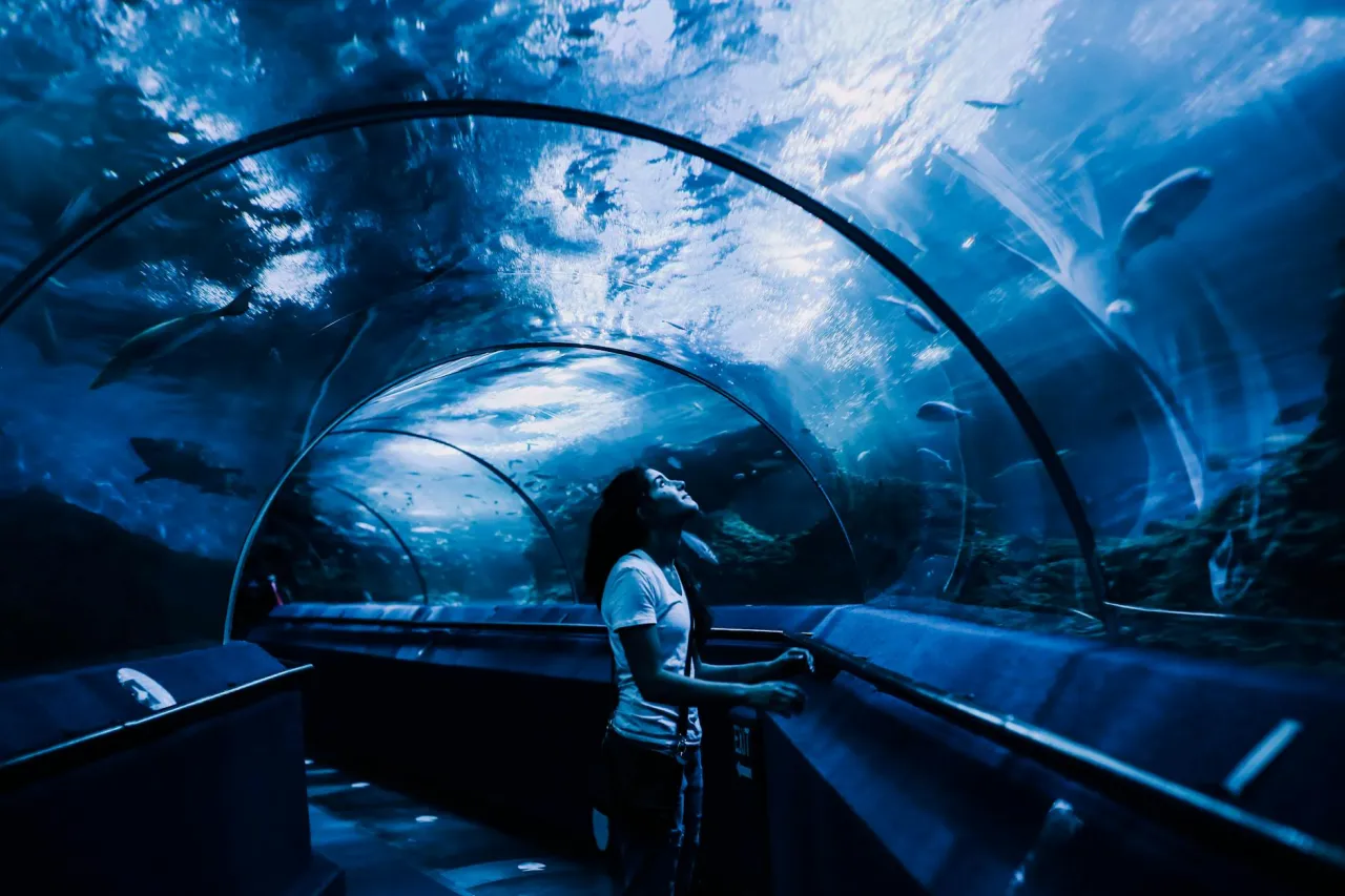 niebieskie światło w akwarium og&oacute;lny widok