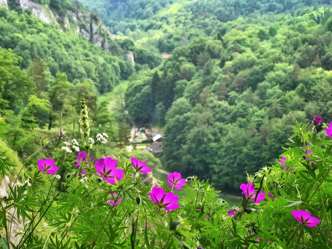 Strony park&oacute;w narodowych komunikaty