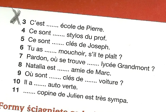 francuskie rodzajniki określone zastosowania