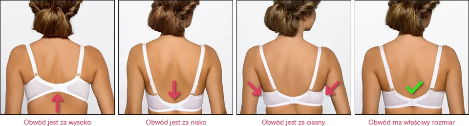 Prawidłowo dopasowany biustonosz infografika