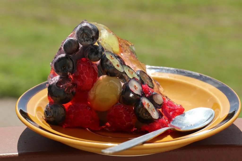 owoce do galaretki wysoka zawartość wody i owoce zwarte