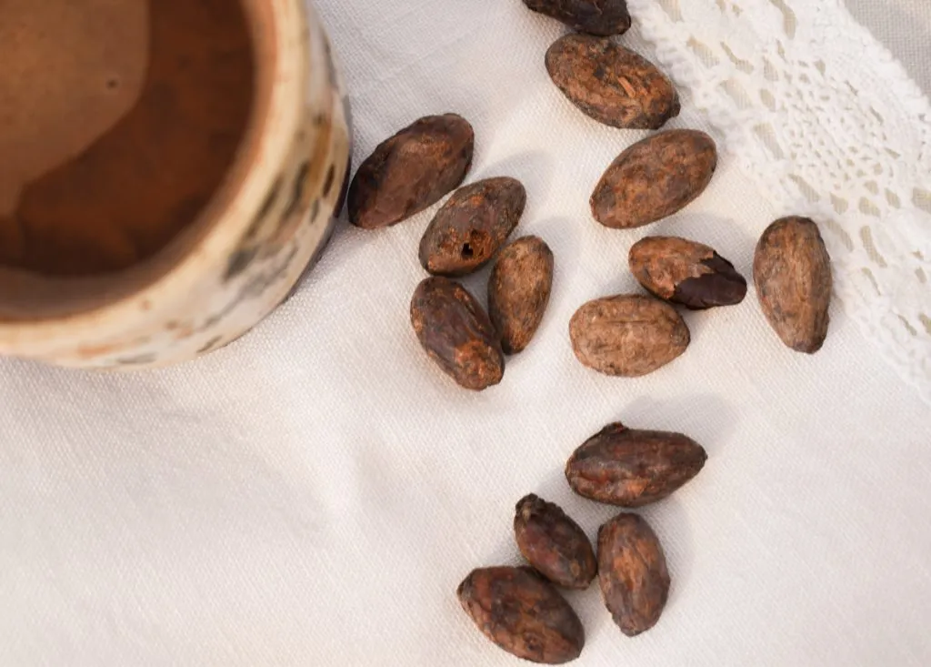 R&oacute;żne rodzaje kakao i produkty kakaowe