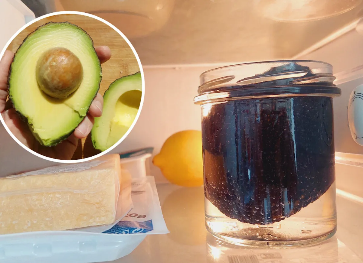 przechowywanie guacamole w wodzie