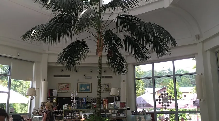 Pijalnia Czekolady E. Wedel Nałęczów