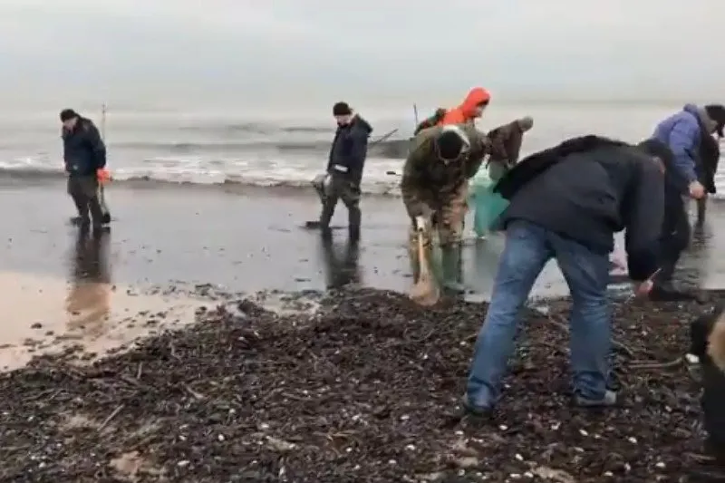 Bursztyn na plaży po sztormie