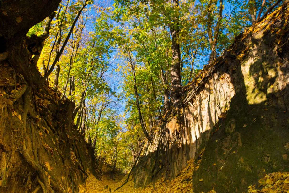 G&oacute;ry Pieprzowe Sandomierz dzikie r&oacute;że
