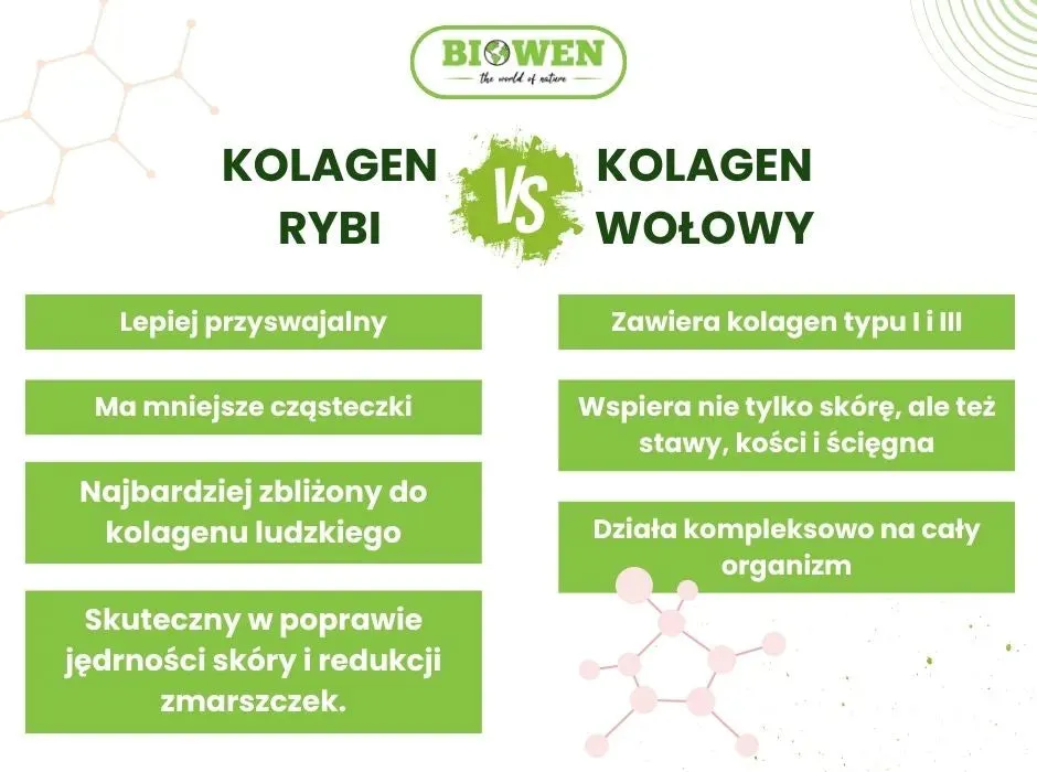kolagen rybi vs wołowy infografika