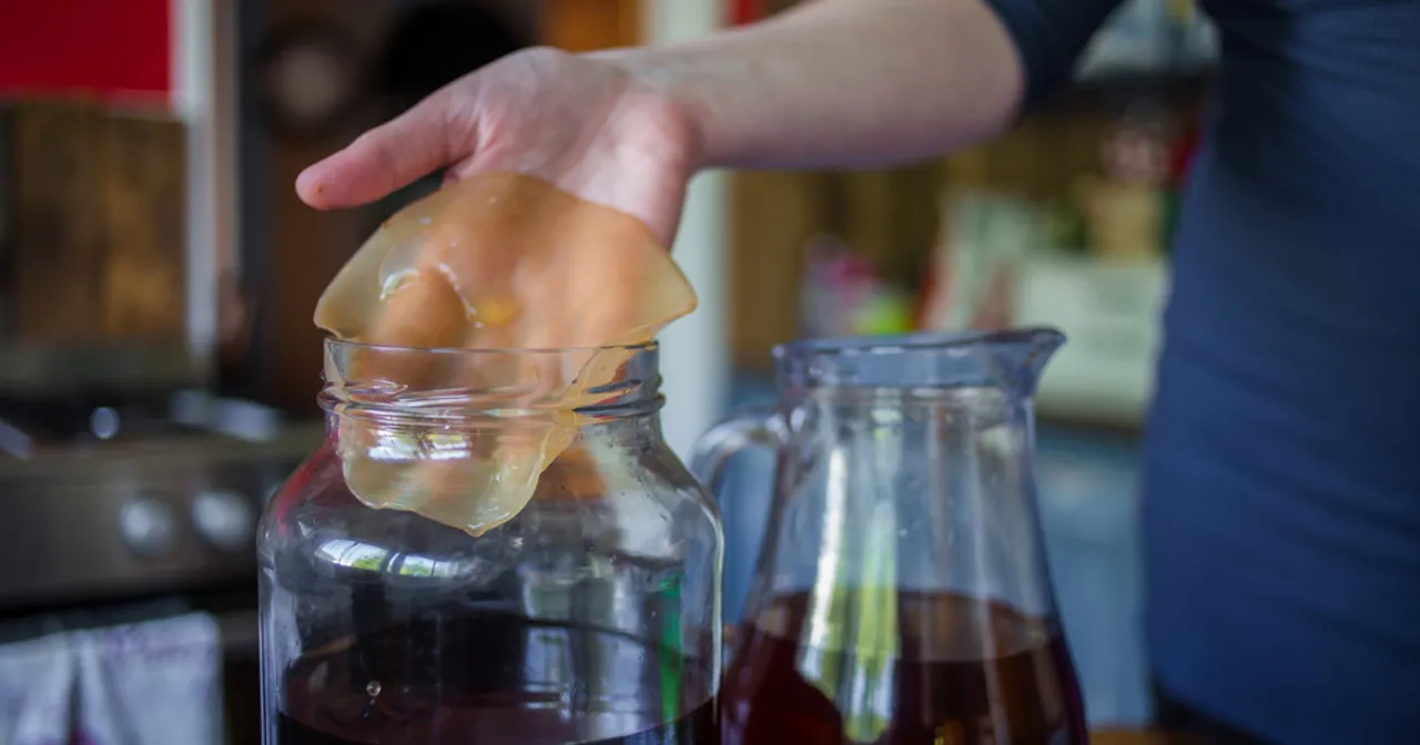 kombucha smakuje jak ocet problem rozwiązanie