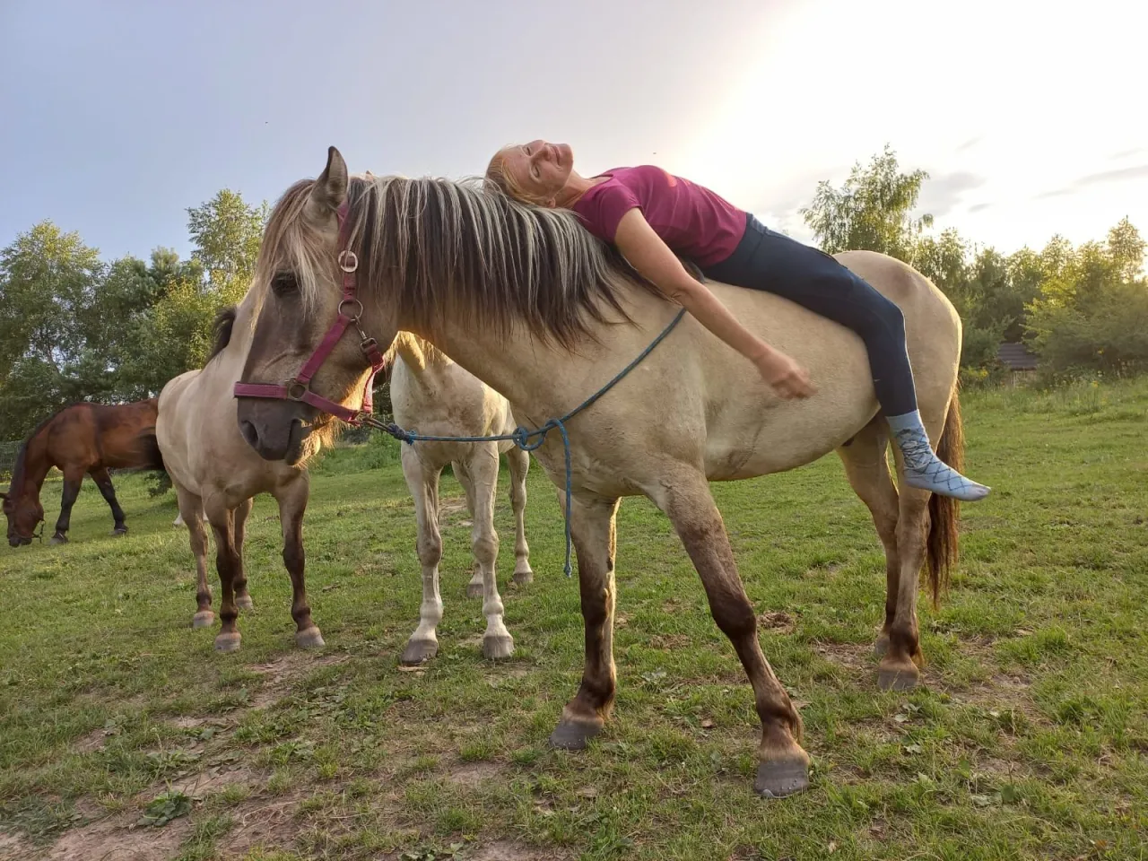 Koń i człowiek budowanie więzi