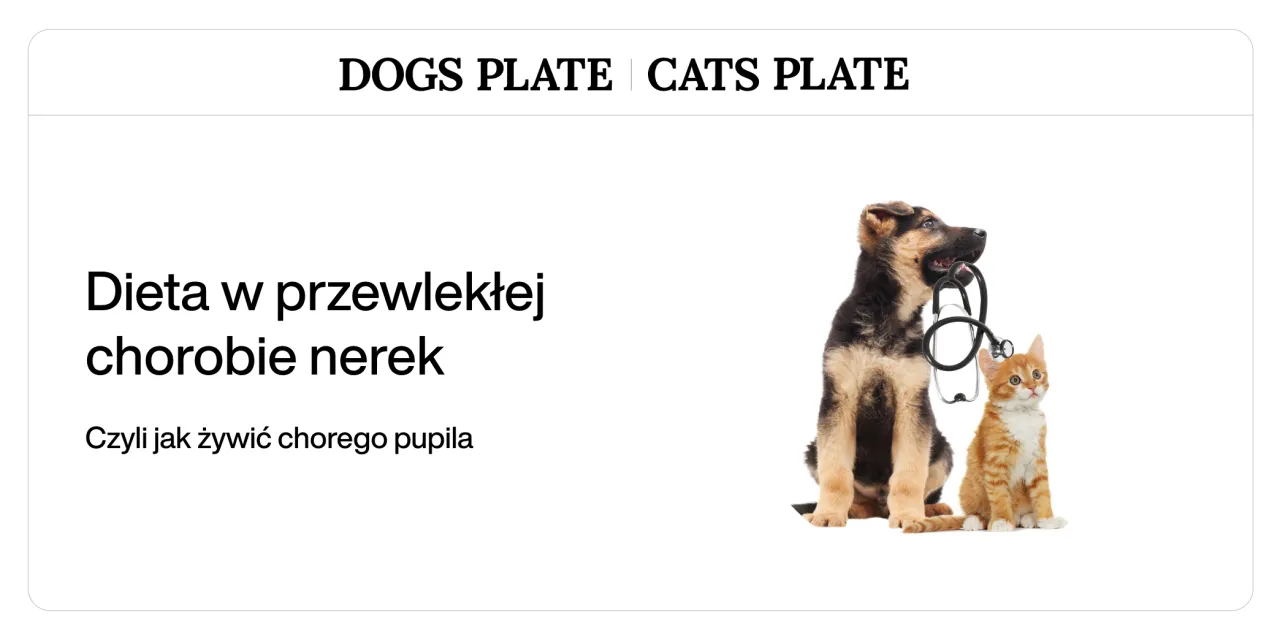 Składniki odżywcze dla psa z chorobą nerek