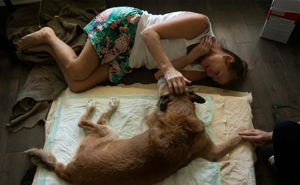 spektakularne ujęcie z filmu przyrodniczego o zwierzętach