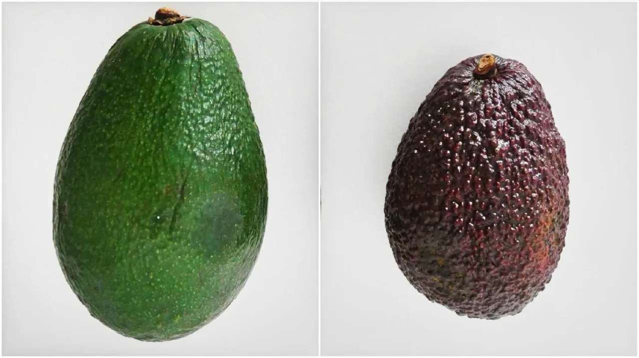 awokado hass i fuerte por&oacute;wnanie