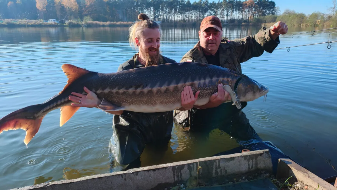 Wędkarstwo Jezioro Osiek nad Wisłą