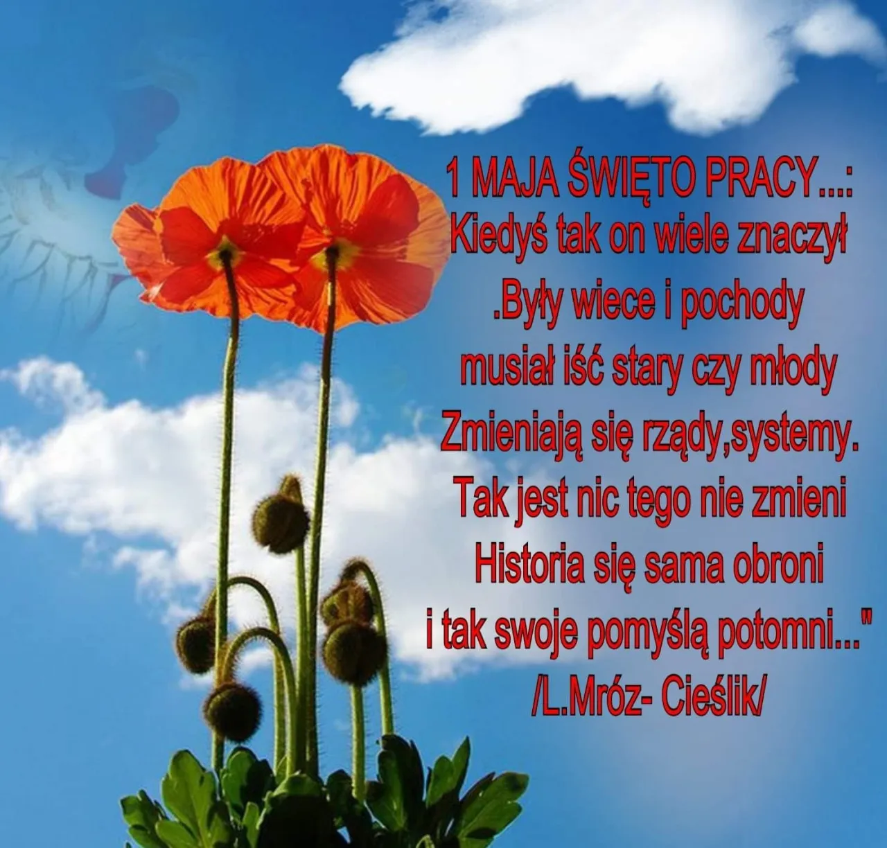 życzenia na 1 maja różnorodne przykłady