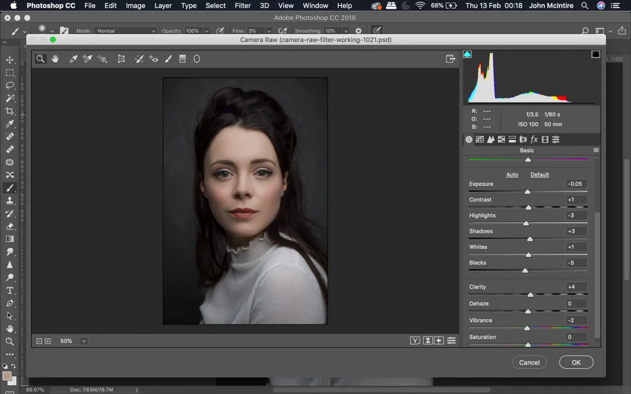 Photoshop Camera Raw Detail panel
