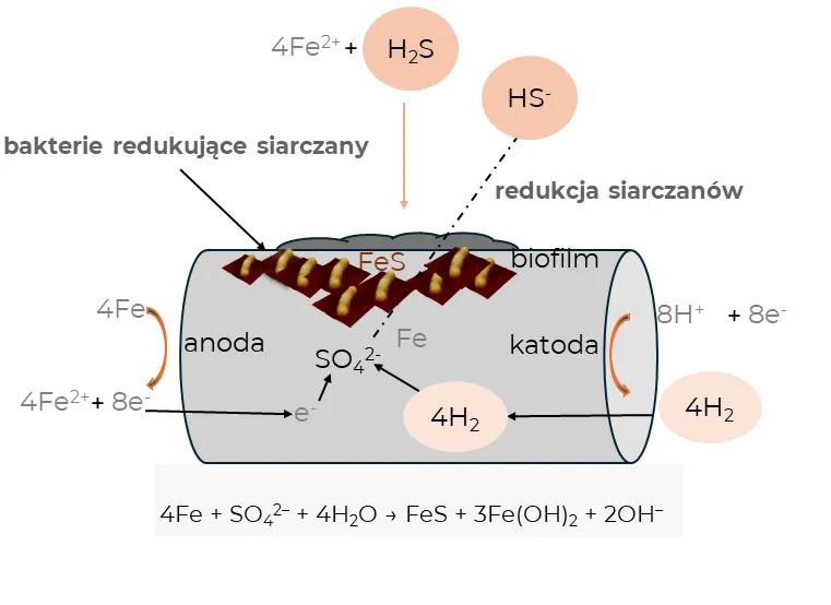 Rodzaje korozji chemicznej i elektrochemicznej schemat