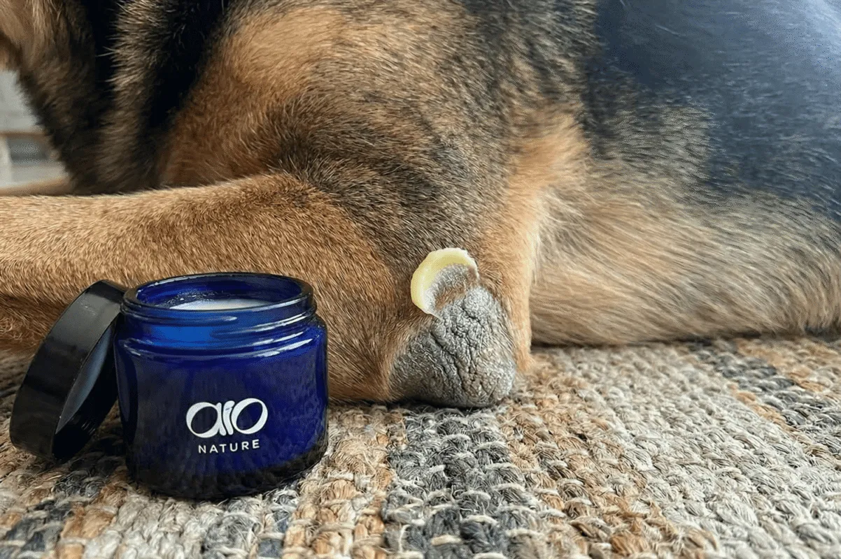 maść na modzele dla psa