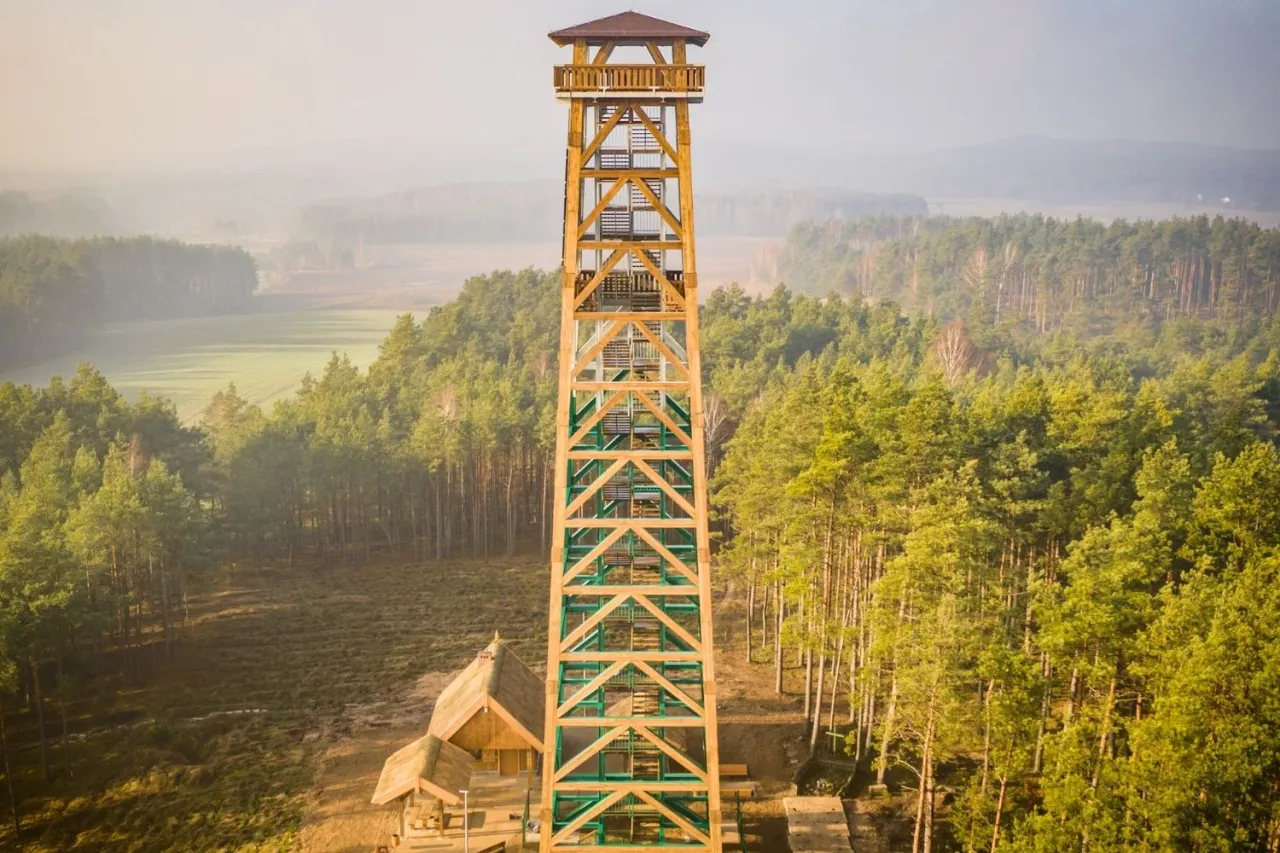 Wieża widokowa Przytarnia Bory Tucholskie