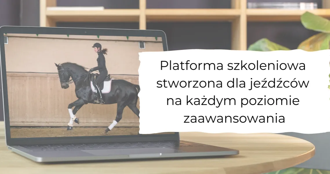 Zdjęcie Szkoła świadomego jeździectwa Silvana – poznaj unikalne metody nauki jazdy