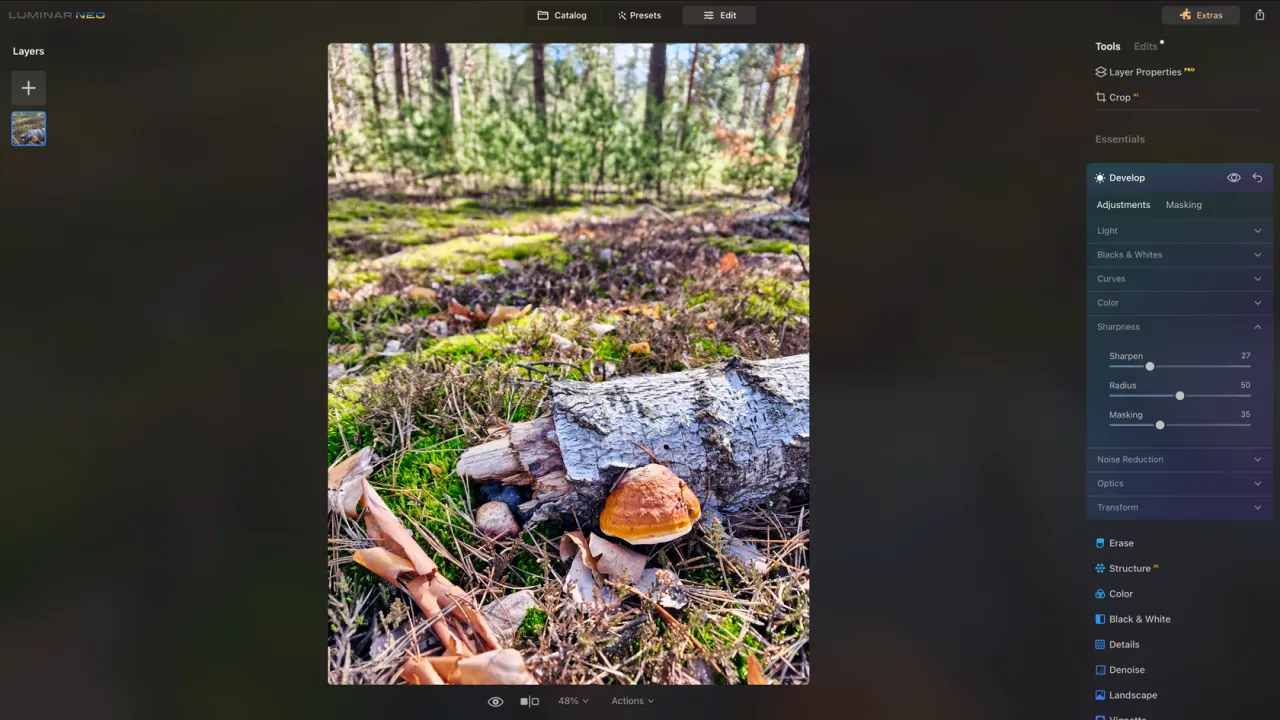 Jak wyostrzyć zdjęcie w Photoshopie: panel 