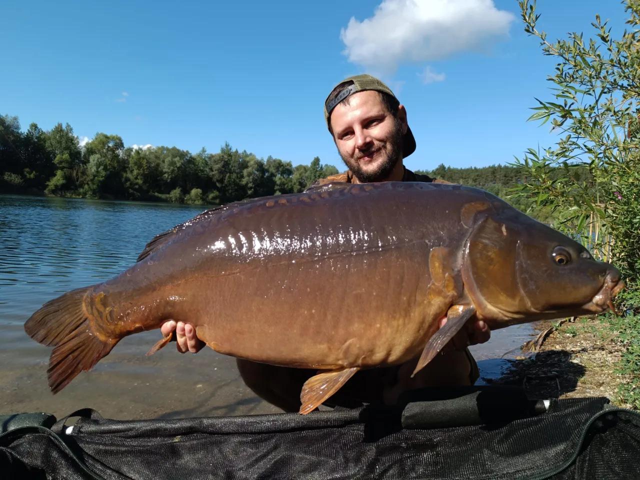Duży karp z łowiska Wojsze