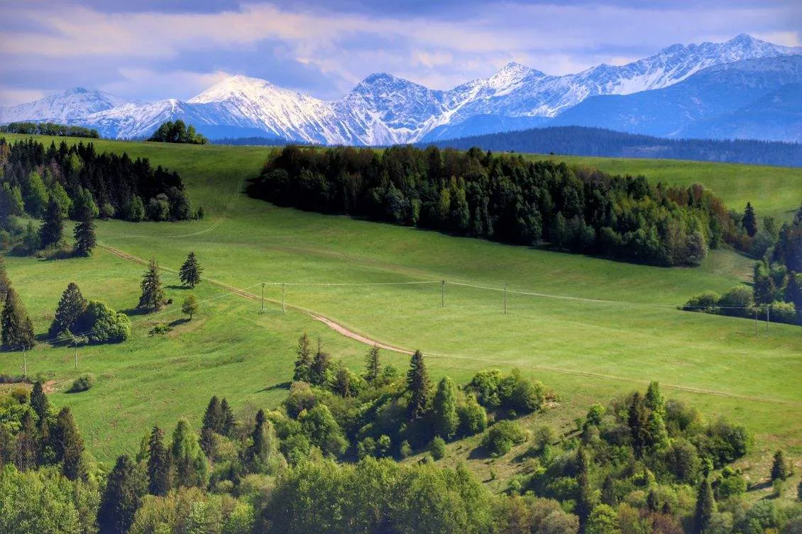 polana buciorówka widok tatry