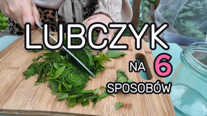 zabezpieczenie lubczyku na zimę