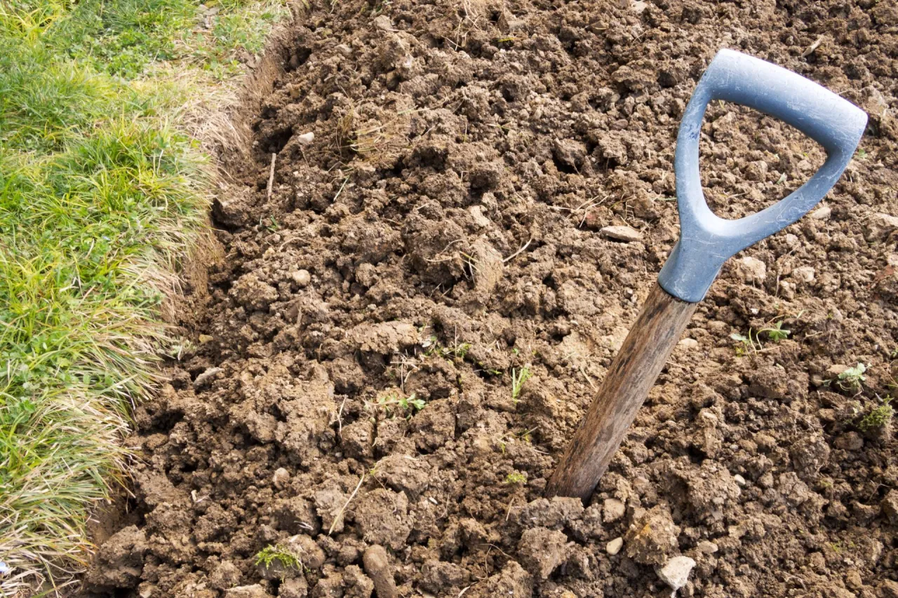 Gleba gliniasta test ręki